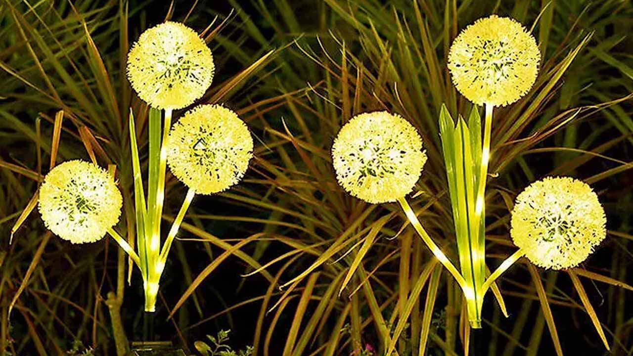 Светящиеся цветы для вашего сада: гид по автономному освещению