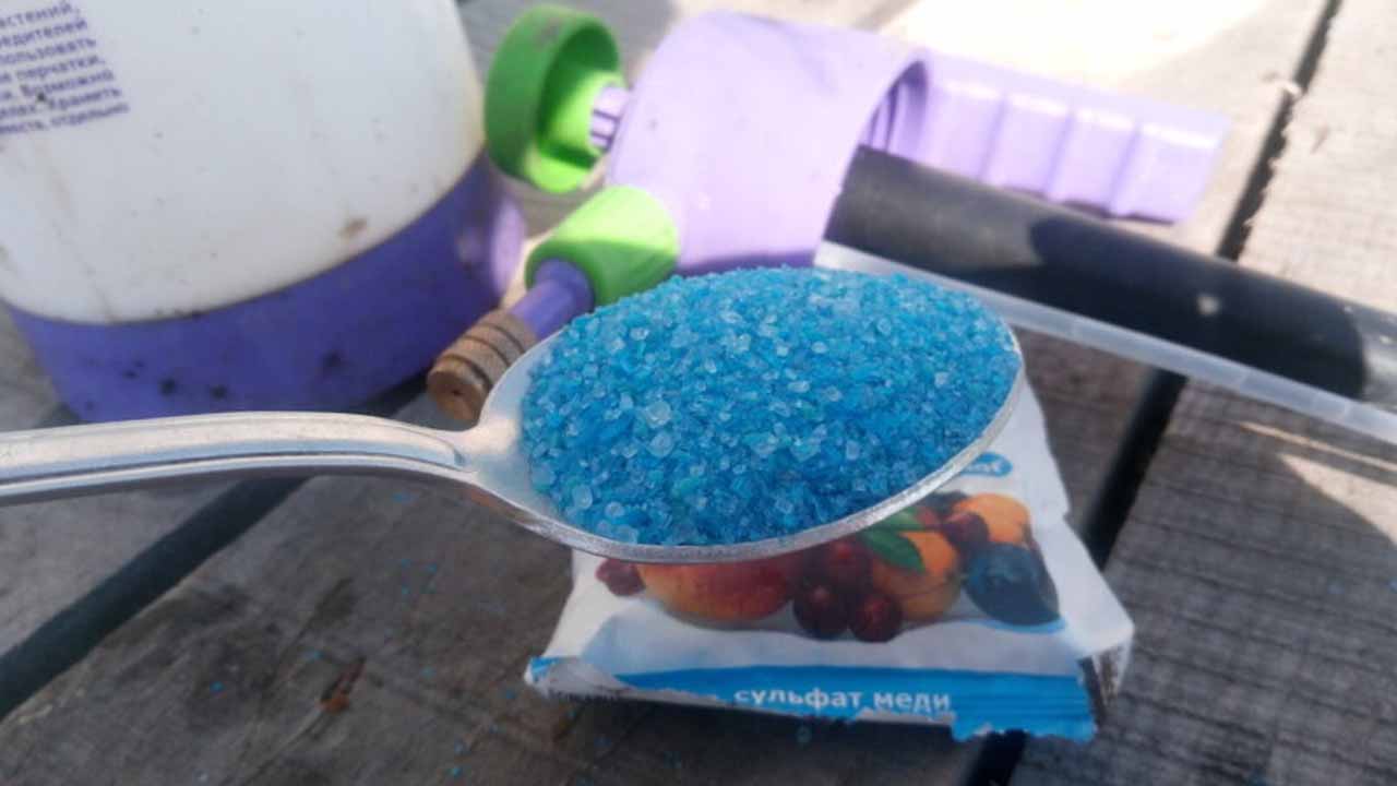 Медный купорос: инструкция по применению от А до Я